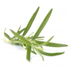 iPod Shuffle iPod Shuffle