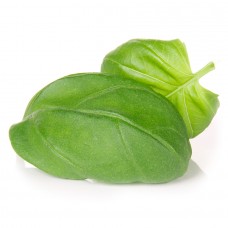 iPod Touch iPod Touch